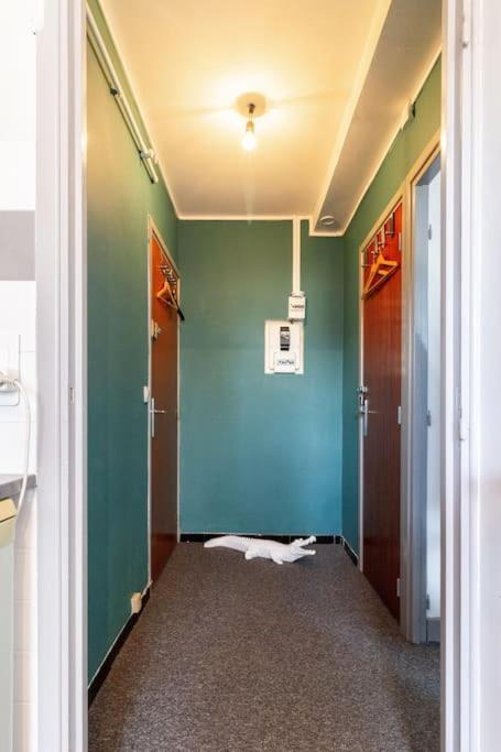 La Chambre Des Secrets / Parking / Wifi トゥールーズ エクステリア 写真
